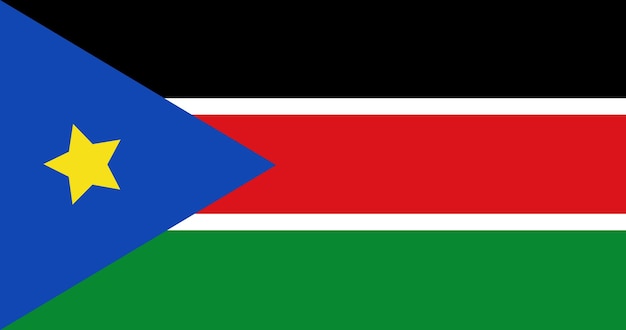 South Sudan flag in vector