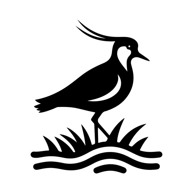 Vector southern lapwing silhouette vector illustration highquality bird design