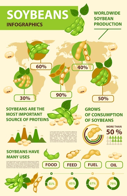 Soy and soybean infographics beans production