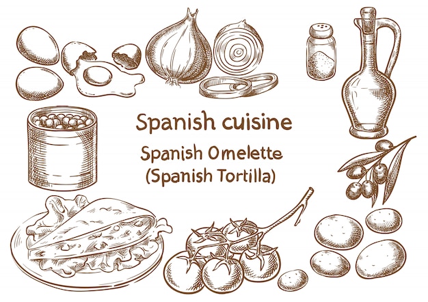 Spanish cuisine. Spanish omlette (tortilla) ingredients vector sketch.