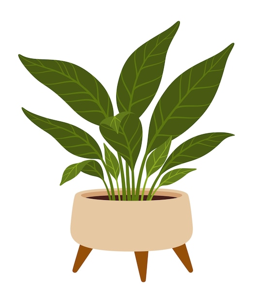 Spathiphyllum in pot Cartoon vector indoor plant with glossy dark green leaves and elegant white flowers that thrive in lowlight conditions perfect for adding a touch of nature to home or office