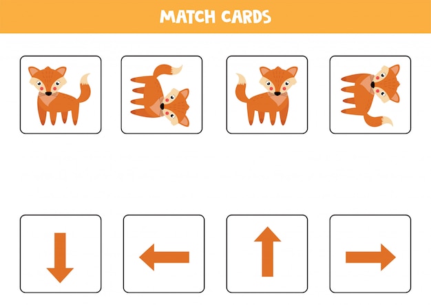 Spatial orientation for kids. Cute cartoon fox in different orientation.