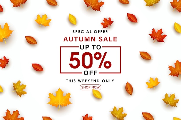 Special Autumn sale with scattered leaves illustration.