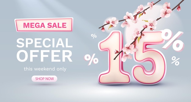 Special spring discount as a gift to the buyer 15 Percentage off sale Vector