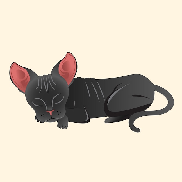 Sphynx Cat