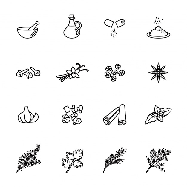 spice, condiment and herb icons set.