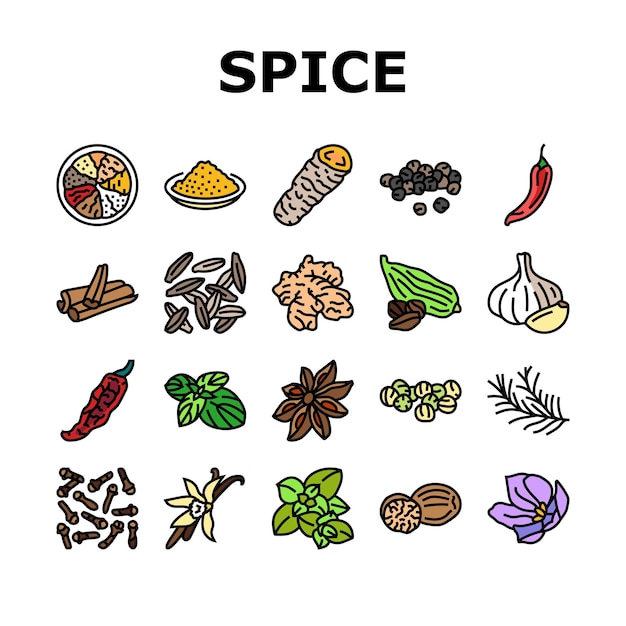 Spice food herb leaf icons set vector