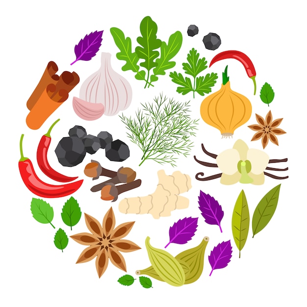 Spices colorful round illustration 