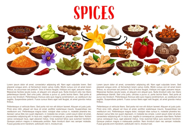 Vector spices condiments and food seasoning banner