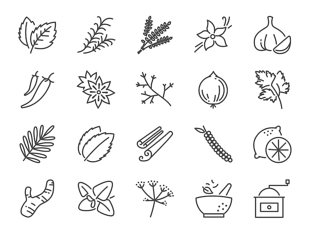 Spices and herbs icon set.