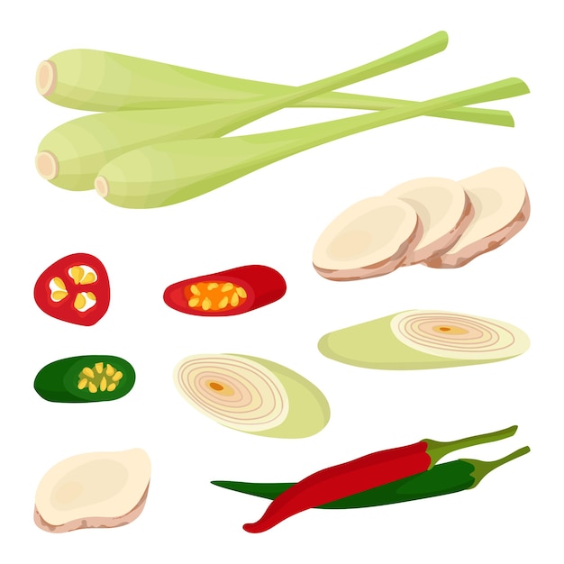 Spices lemongrass chili galangal in cartoon style Ingredients for Asian cuisine