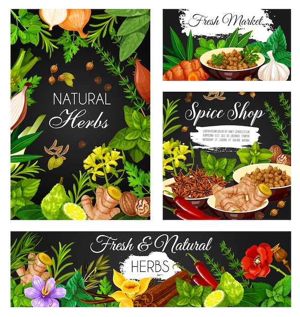 Spices seasonings and aromatic herbs banners