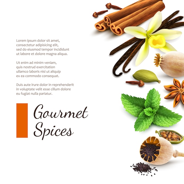 Spices on white background with text template