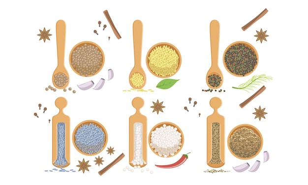 Vector spices in wooden bowl set peppercorns sesame fennel seeds himalaya salt vector illustration