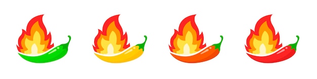 Spiciness level Chilli with fire Spicy Vector illustration