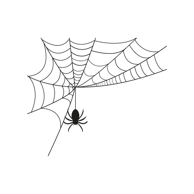 Spider and cobweb Vector graphics