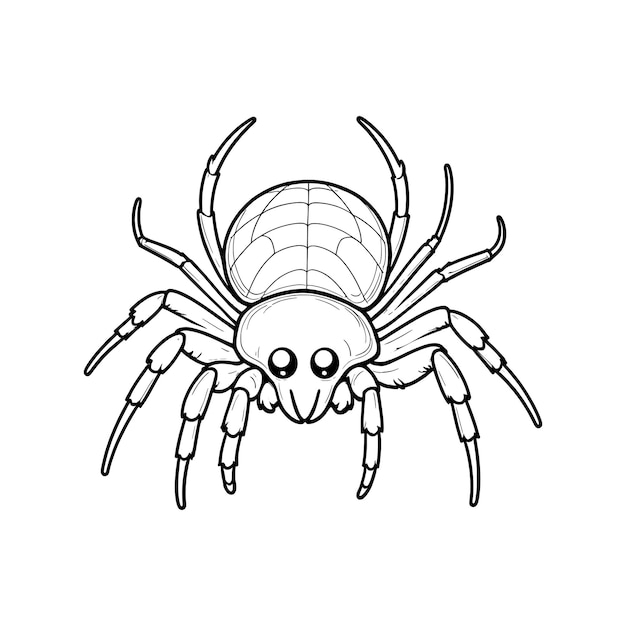 Spider hand drawing coloring page and outline vector design