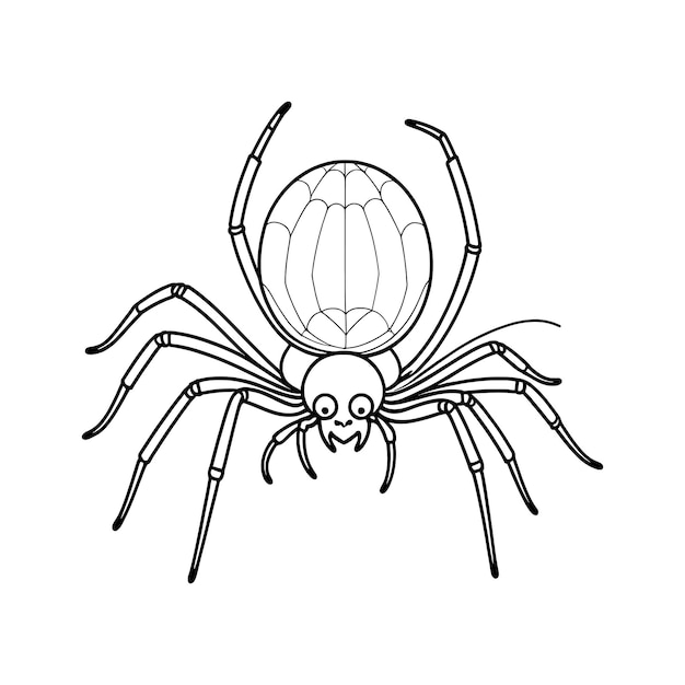 Vector spider hand drawing coloring page and outline vector design