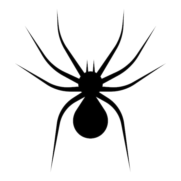 Spider icon isolated white background