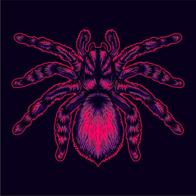 spider illustration