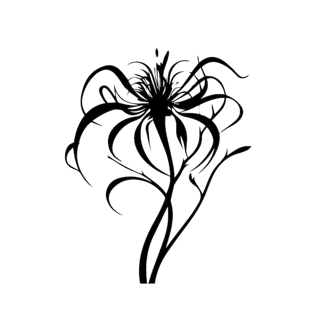 spider lily black and white vector template set for cutting and printing