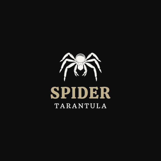 Vector spider logo design