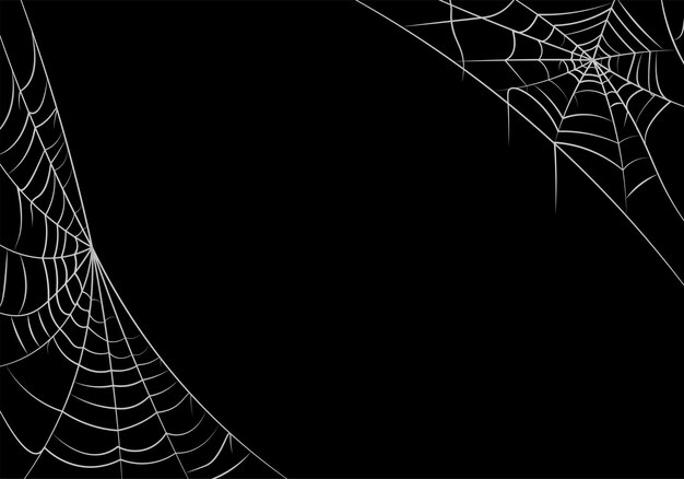 Vector spider web background for halloween design spider web line art