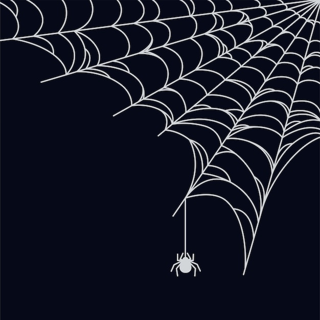 Spider web background for Halloween Halloween cobweb corner Outline vector illustration