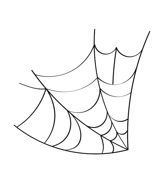 Spider web. Cobweb on a white background. Vector illustration