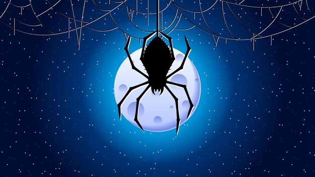 Vector spider web on dark background halloween design elements spooky scary horror decor vector