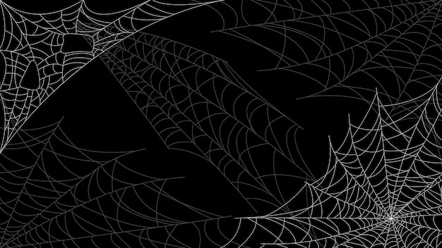 Vector spider web on dark background halloween design elements spooky scary horror decor vector