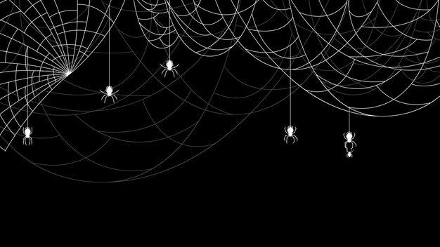 Vector spider web on dark background halloween design elements spooky scary horror decor vector