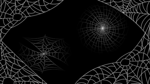 Vector spider web on dark background halloween design elements spooky scary horror decor vector