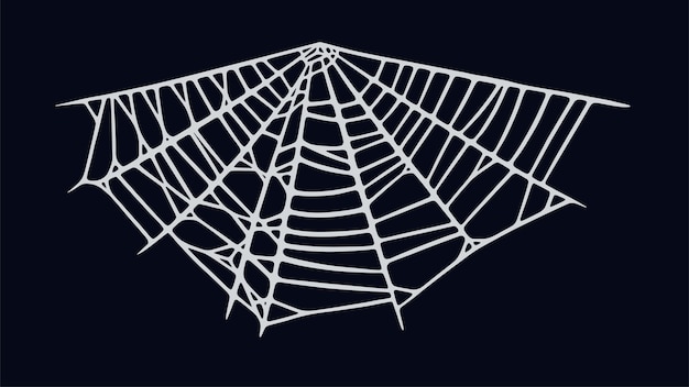 Spider web isolated on black background Spooky Halloween cobweb Handrawn vector illustration