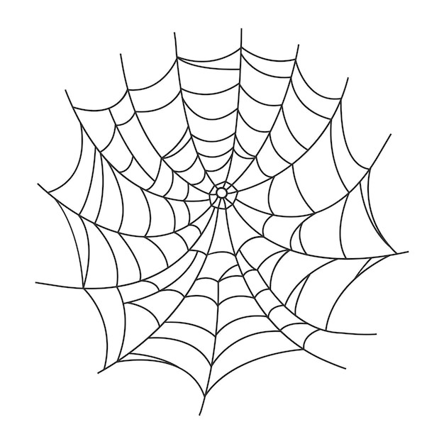 Spider web isolated on white background Design element for Halloween