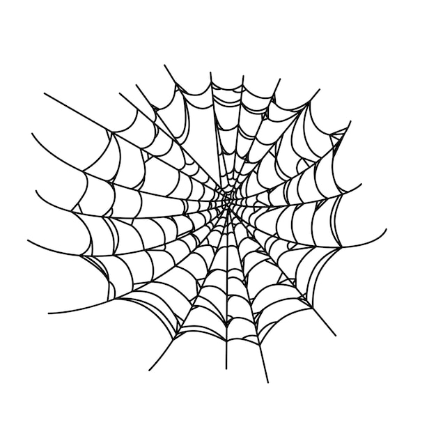 Spider web isolated on wite background Outline cobweb for horror Halloween party designs