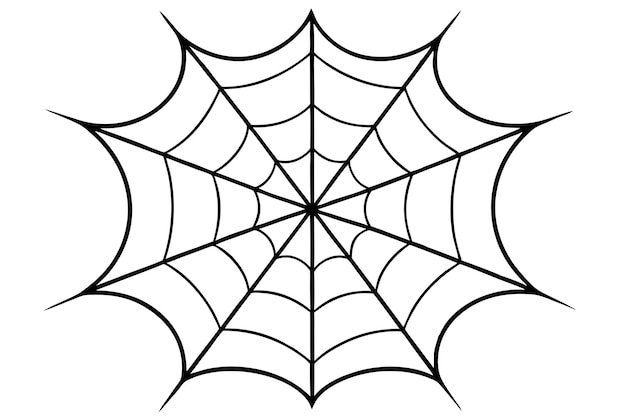 a Spider web line art vector illustration