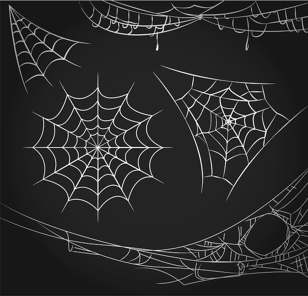 Spider Web Vector Art