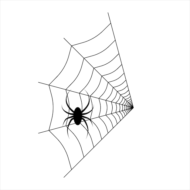 Spider on the web Vector illustration