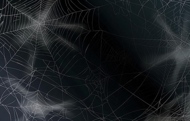 Vector a spider web with a black background that says spider web