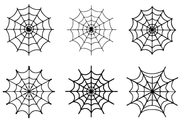 a spider web with spiders on it and a spider web