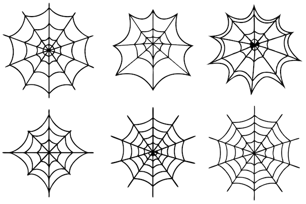 spider webs are shown on a white background