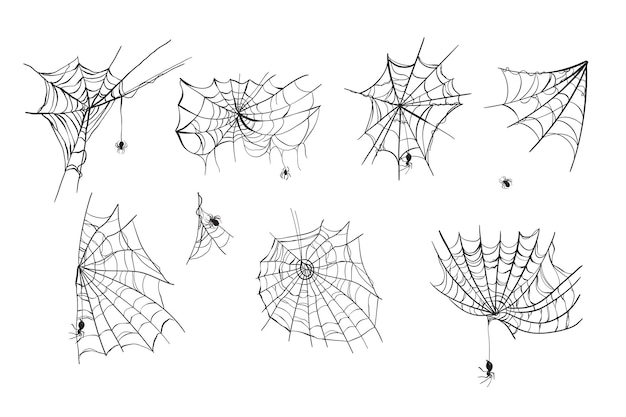 Spiders Web Decorations Halloween Vector Clipart Illustration