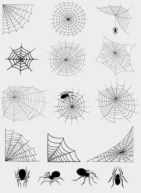 Spiders web net vector silhouette spooky nature halloween element cobweb decoration fear spooky net danger horror spider trap cobweb black silhouette decoration.