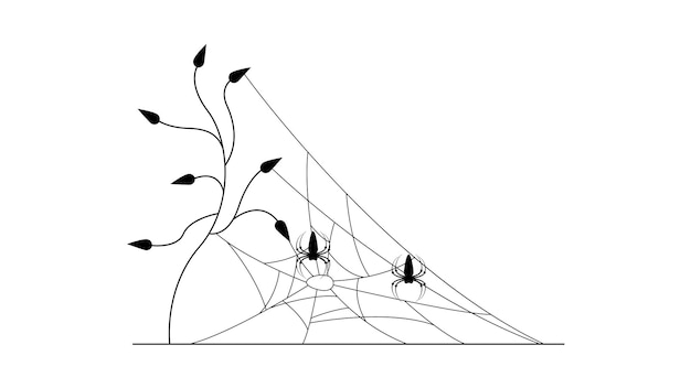 Spiders Web with white Background. Flower Plant Brunch Halloween Background Design Element. Spooky