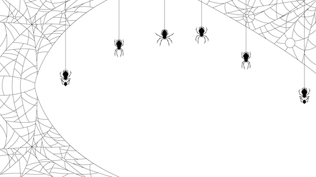 Spiders on Web with white Background. Halloween Background Design Element. Spooky, Scary Horror