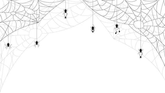 Spiders on Web with white Background. Halloween Background Design Element. Spooky, Scary Horror