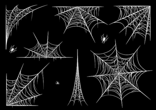 Spiderweb or Cobweb for halloween set