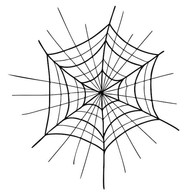 Spiderweb Halloween cobweb Close up Linear hand drawing Vector illustration