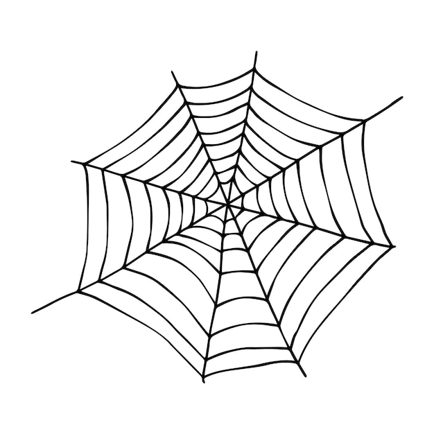 Spiderweb spider house creepy Halloween decorations concept Spider web vector doodle sketch